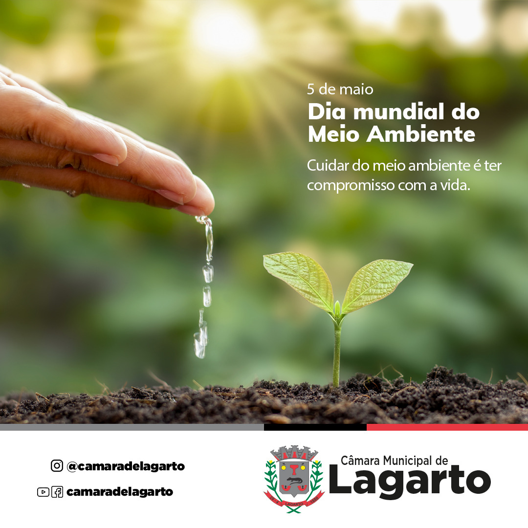 Dia mundial do meio ambiente