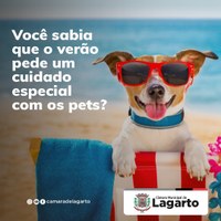 Dica de Verão